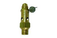 Boiler vacuum valves